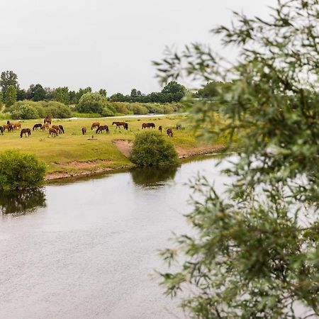 Thoeles*** Am Allerpark Verden Verden an der Aller Exteriér fotografie