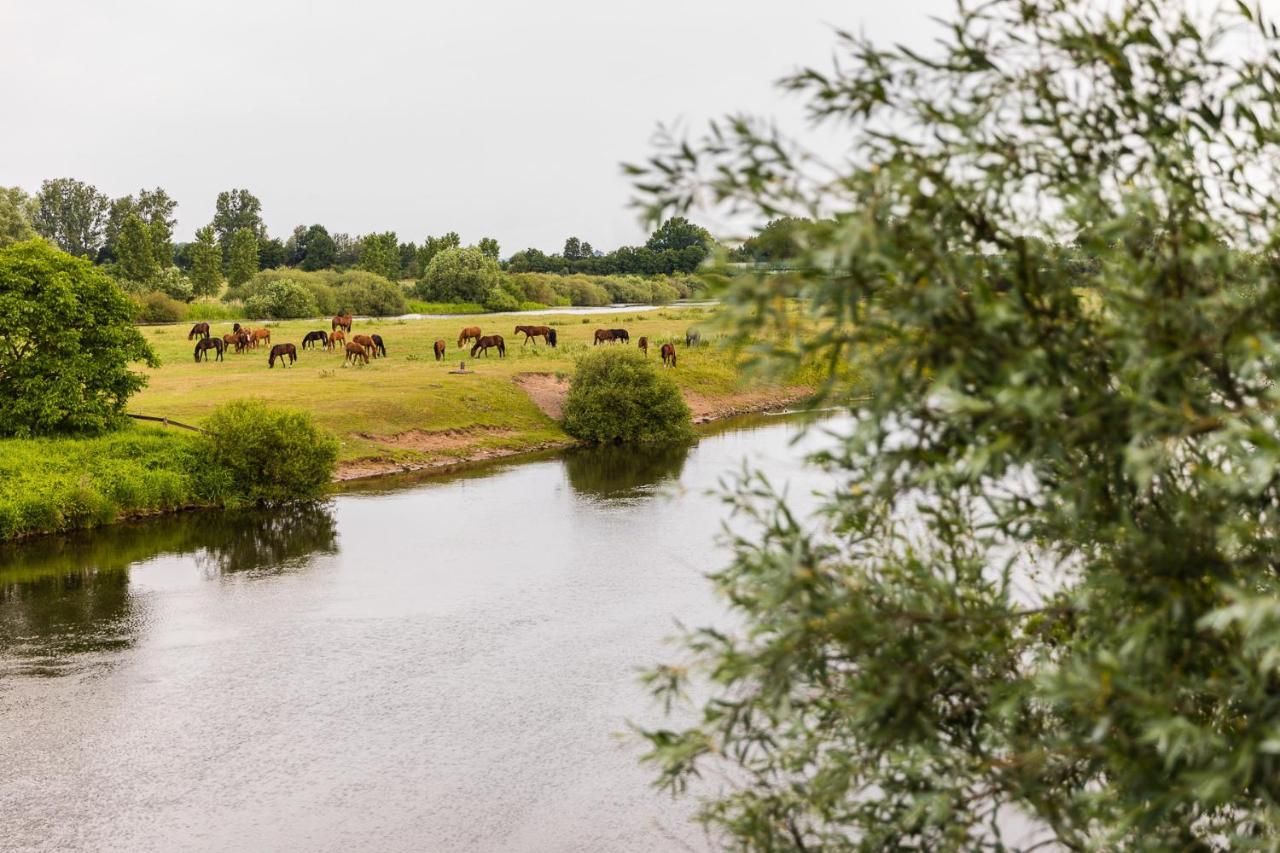 Thoeles*** Am Allerpark Verden Verden an der Aller Exteriér fotografie
